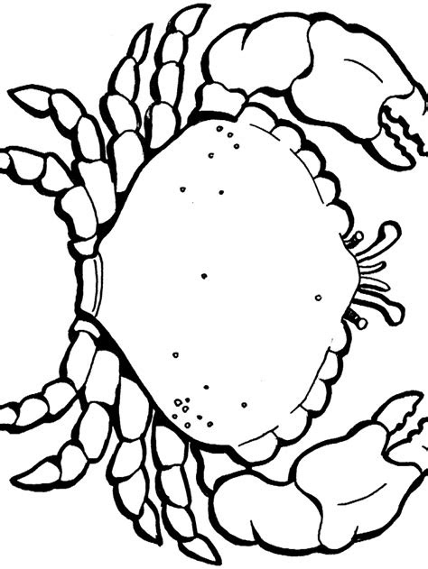 ocean coloring pages primarygamescom