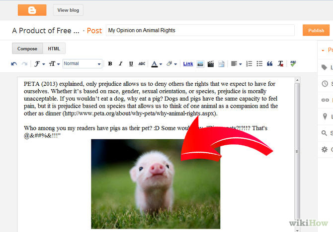 Avoid Common Beginner Blogger Mistakes Step 7.jpg