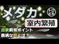 ++ 50 ++ メダカ 飼い方 室内 324326-メダカ 飼い方 室内