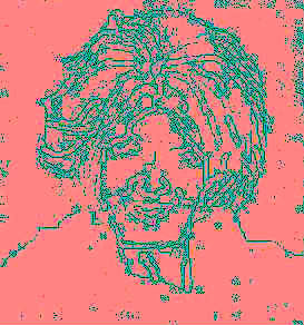 dr