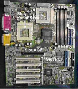 pro1.gif