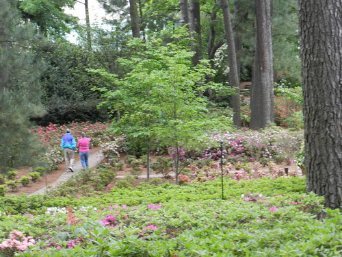 naturenotesDSCN6492