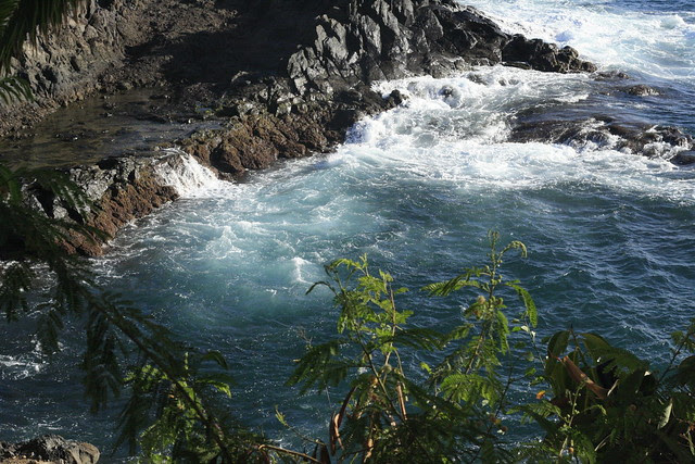 TENERIFFA 2012 1363