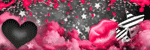  photo BIBIVANG_zpswqkxyldj.gif