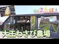 [最も選択された] 大王 わ��び 農場 お 土産 792796-大王わさび農場 お土産 おすす���
