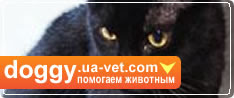 Помогай бездомным животным Украины. Присоединяйся!