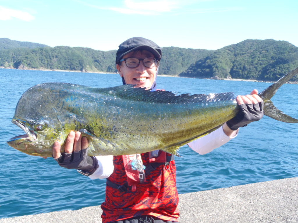 シイラ マヒマヒ 釣り具レジャー用品専門店 アングラーズ Anglers