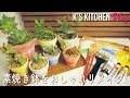 画像をダウンロード 100均 ��� リメイク 204831-100均 鉢 ��メイク