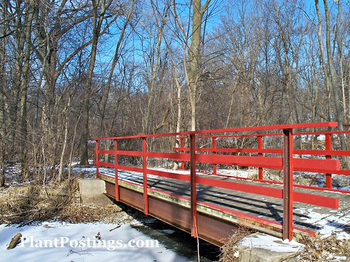 bridge