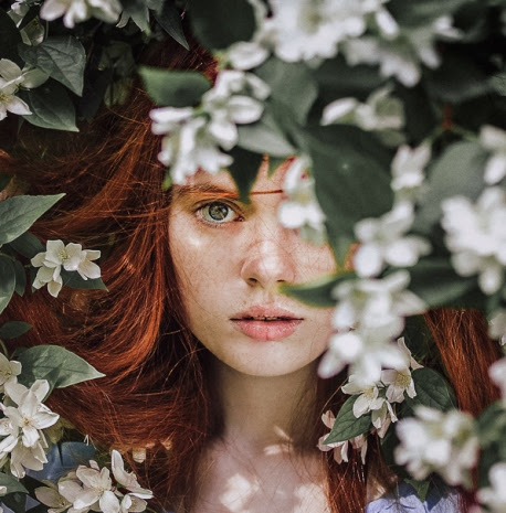 380 Free Lightroom Presets | Download Lightroom Presets ...