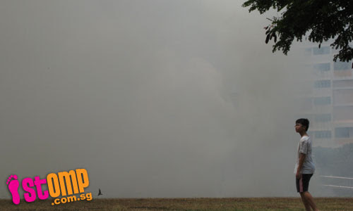  Yet another raging bushfire at Tampines