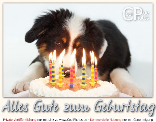 geburtstag gratulieren bruder