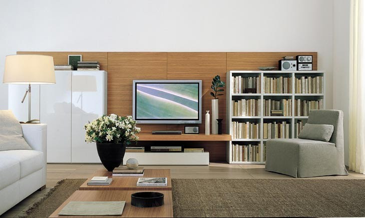 Modern Wall Units