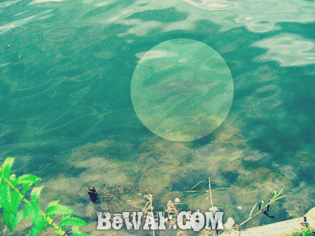 setagawa bass fishing chouka 3