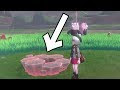いろいろ ポケモン剣盾 ダ���マックス巣穴 239814-ポケ��ン剣盾 ダイマックス巣穴 色違い