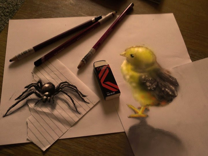 3D Bird and Spider Drawing Optical Illusion