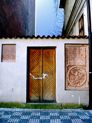 DSC01275