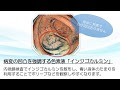 【人気ダウンロード！】 カルミン 画像 937847-カルミン 画像