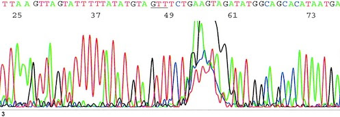 Base calling spectrum