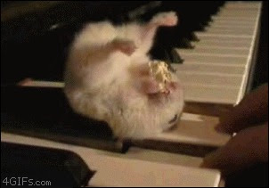 анимация, gif, прикол