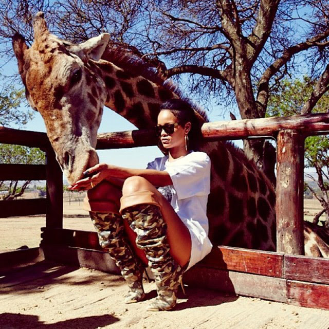 Rihanna posa ao lado de felino na África