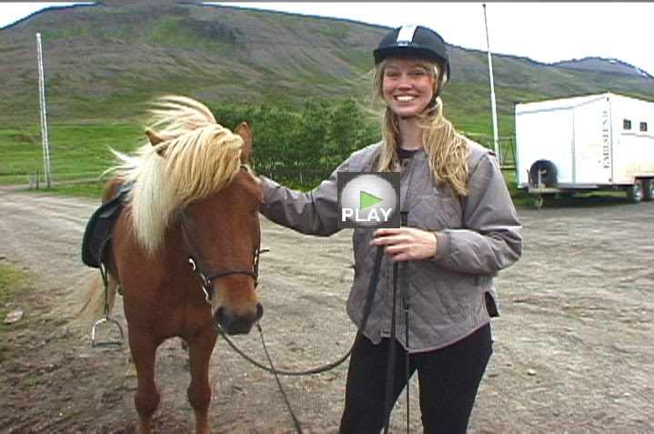 hestakaup horse videos 719x477