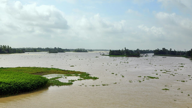 kalkatta 229