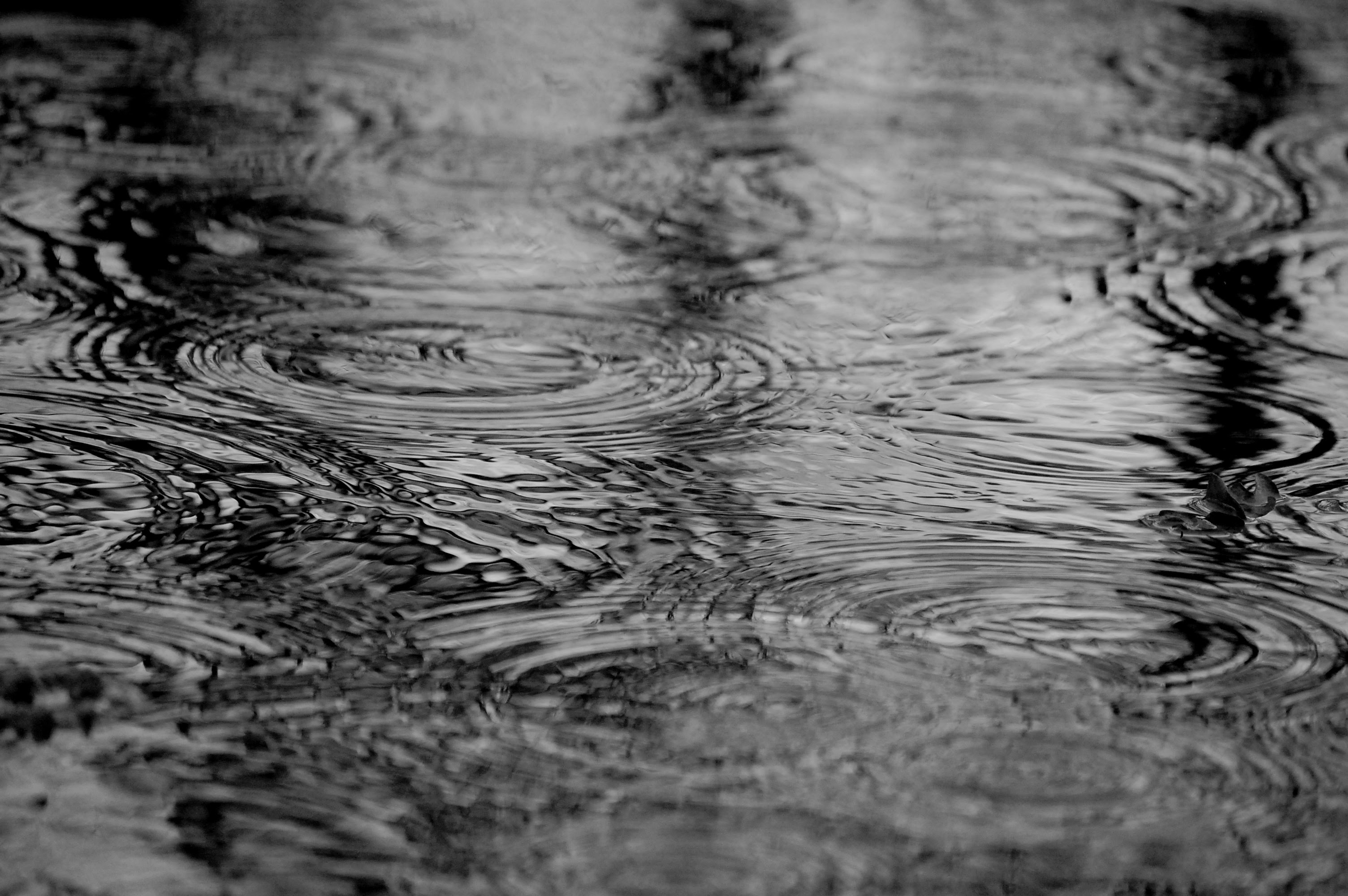 フリー画像 人工風景 雨の風景 水たまり 波紋 フリー素材 画像素材なら 無料 フリー写真素材のフリーフォト