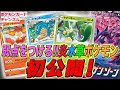 √100以上 バオップ 進化 152108-バオップ 進化系