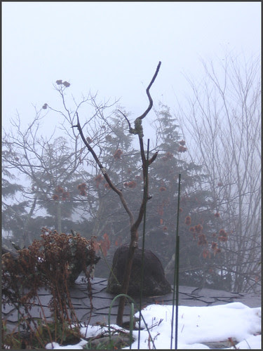 03 birds landing branch