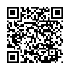 Generador de Códigos QR Codes