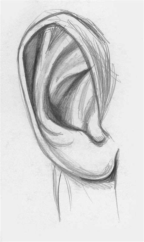 easy sketches  draw  beginners harunmudak