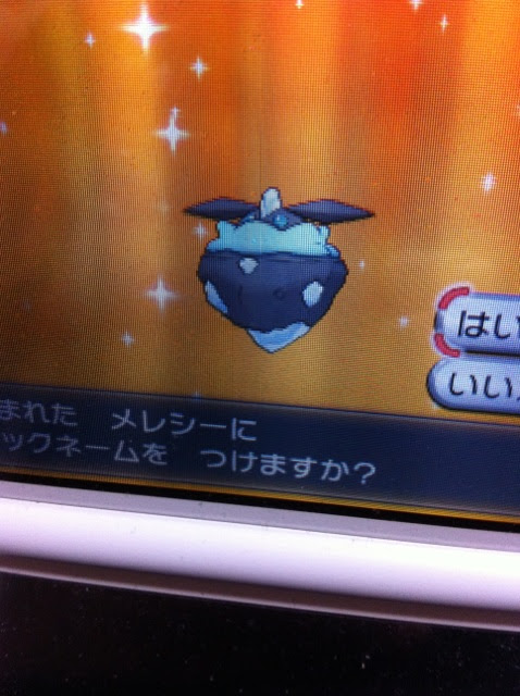 メレシー Xy 色違いに釘付け