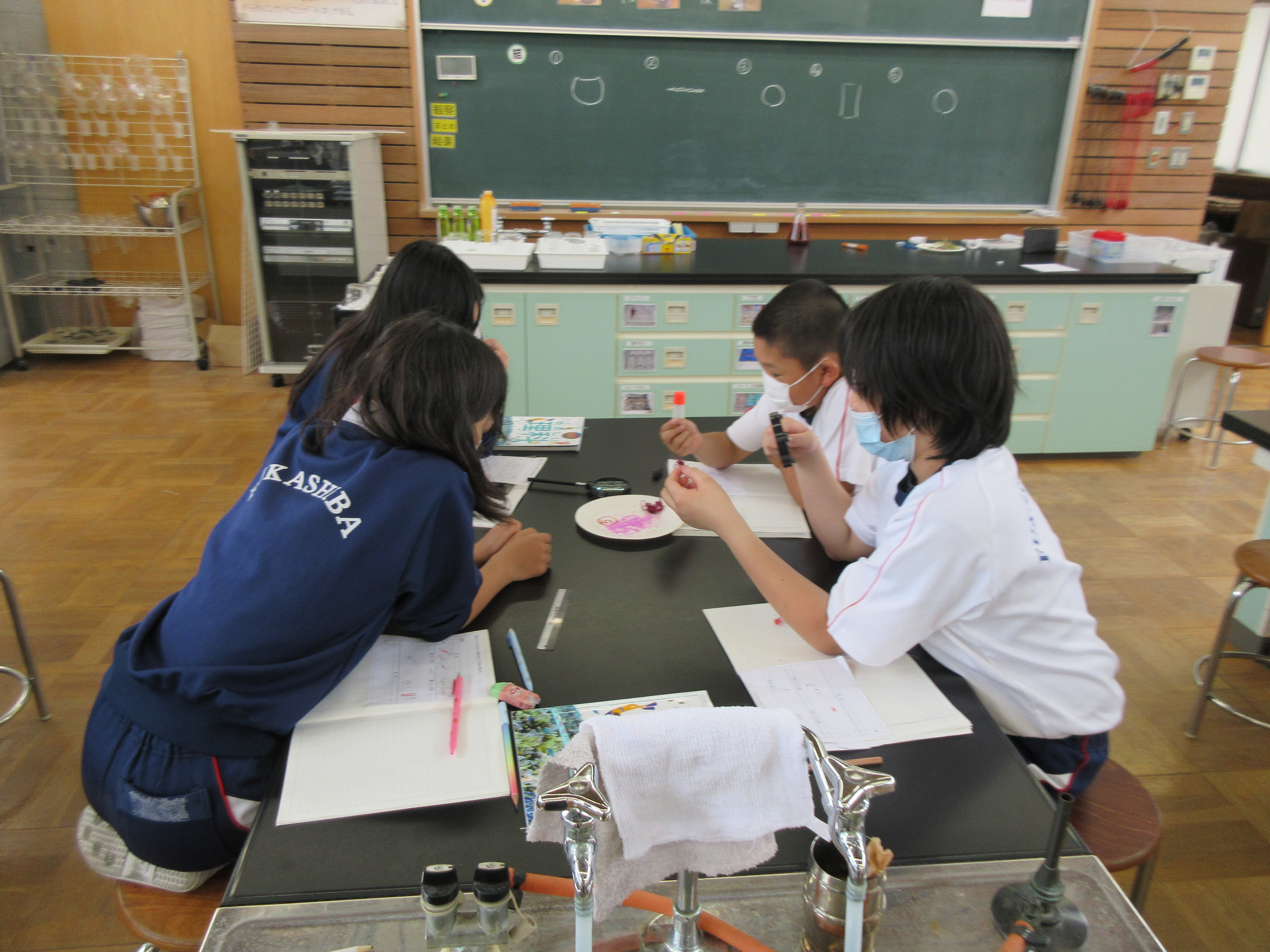 ７月１３日 月 ６年生 理科 植物の体のつくりと水の通り道 神栖市立深芝小学校
