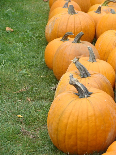 pumpkins