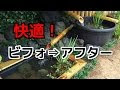 【人気ダウンロード！】 メダカ 濾過装置 自作 121367-メダカ 濾過装置 自作
