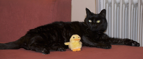 Mouseduck