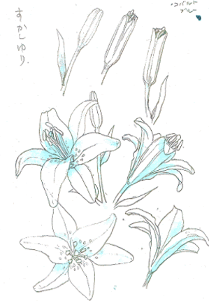 百合 透かしユリで描き方を学ぼう 塗り絵で癒し 風景画 花の絵