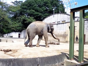 動物園志望の方必読 飼育員になるにはどうすればいい