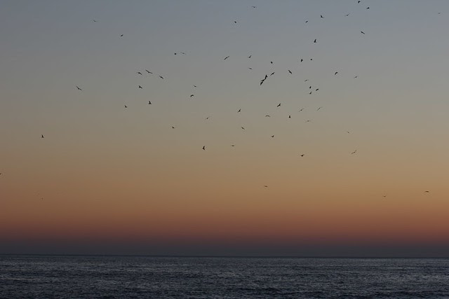 IMG_9768