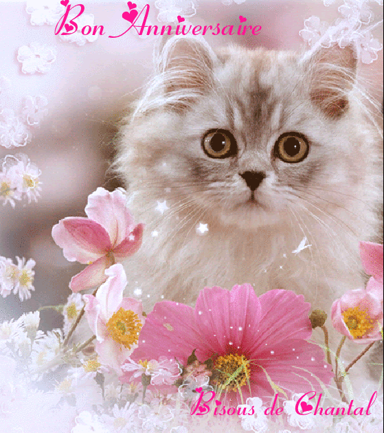 Cadeau D Anniversaire Pour Mon Amie Kiki