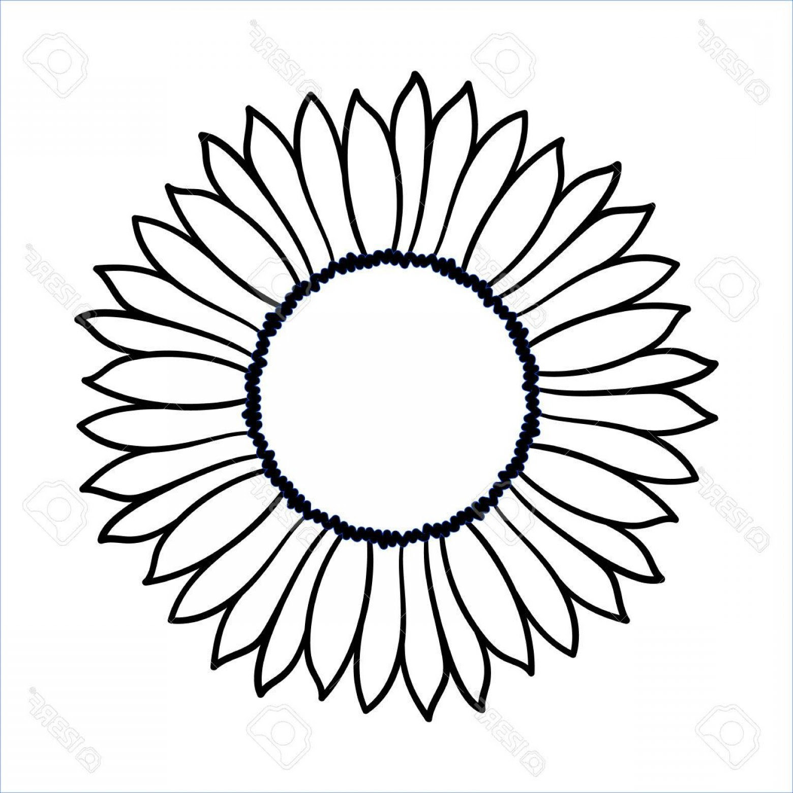 Download Sunflower Black And White Drawing | Free download on ...