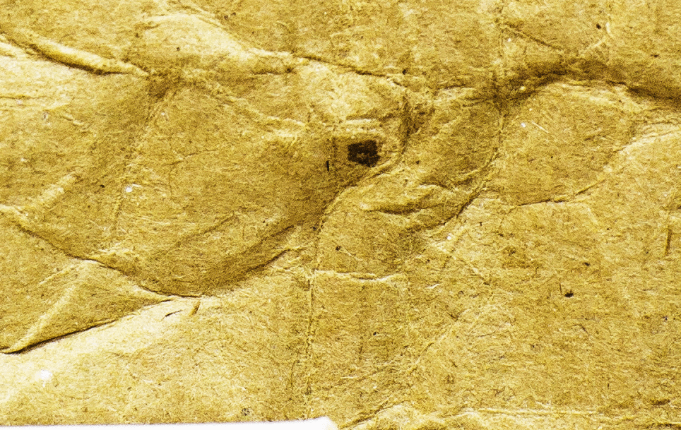 micmac photogrammetry tests