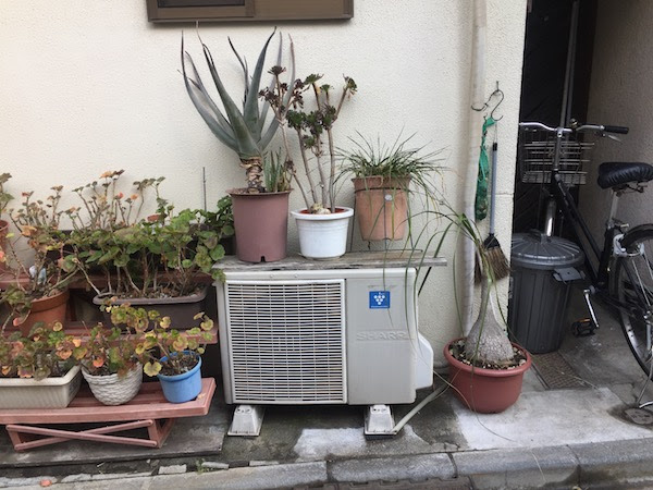 無料ダウンロード室外機植物 0以上の自然なアイデア