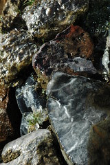 Rocks, Water and Ice, Woodfield Inn