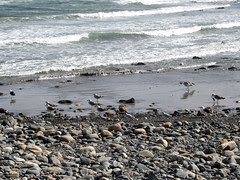 YorkBeach_101908c