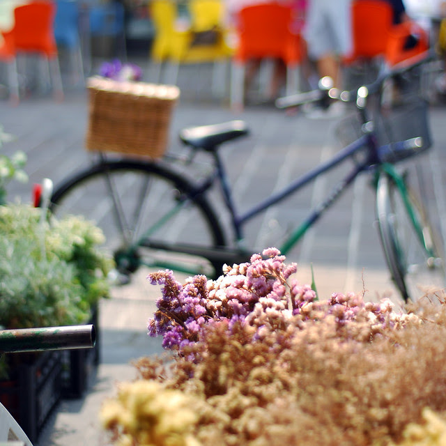 falling in love quotes images pictures. Friends Falling in Love Quotes