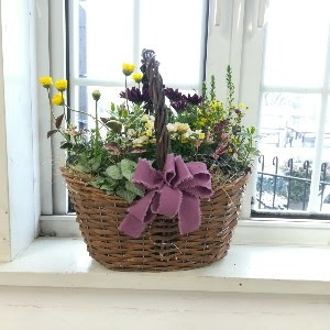 春の寄せ植えとハンギングバスケット 2103 長野県松本市の 種苗店 ナカツタヤ ガーデニング専門店 ナカツタヤ ガーデンストリート