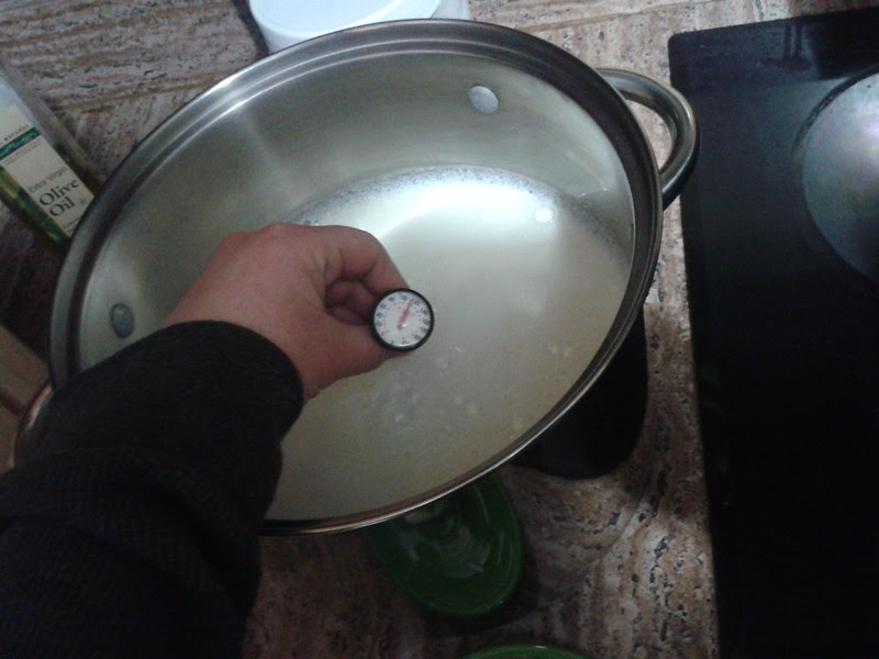 yogurt making 2014
