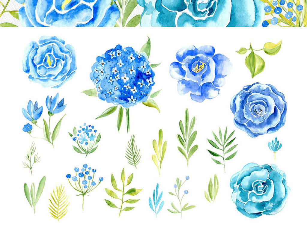 绣球花简笔画图片唯美 绣球花简笔画图片唯美画法